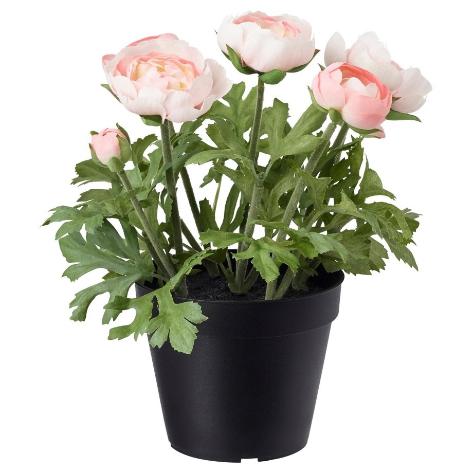 Artificial potted plant, in/outdoor/Ranunculus pink, 12 cm